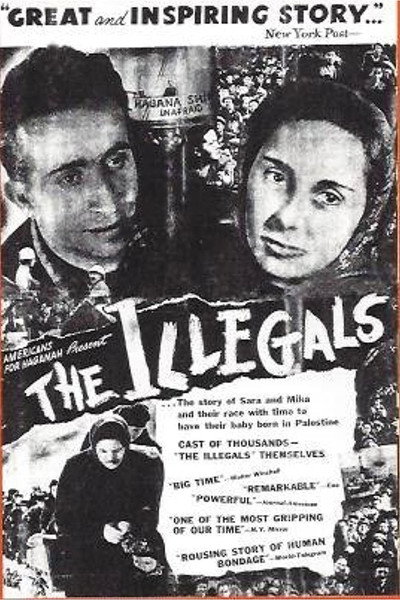 Póster de The Illegals