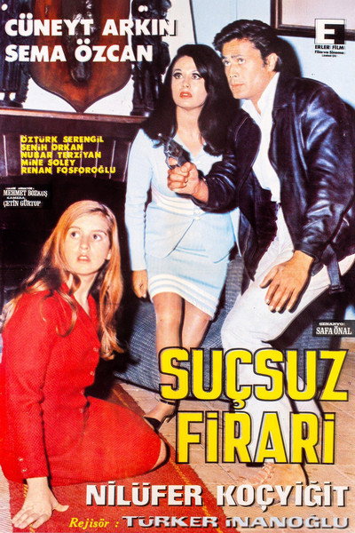 Póster de The Innocent Fugitive