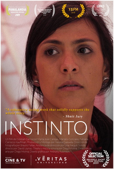 Póster de The Insctint