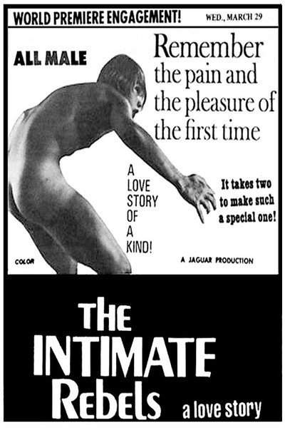Póster de The Intimate Rebels