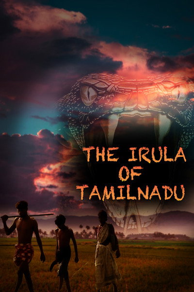 Póster de The Irula of Tamilnadu