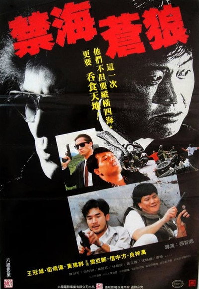 Póster de The Killer from China