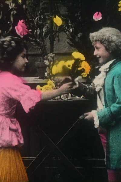 Póster de The Language of Flowers