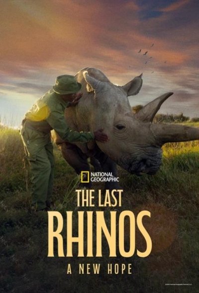 Póster de The Last Rhinos: A New Hope
