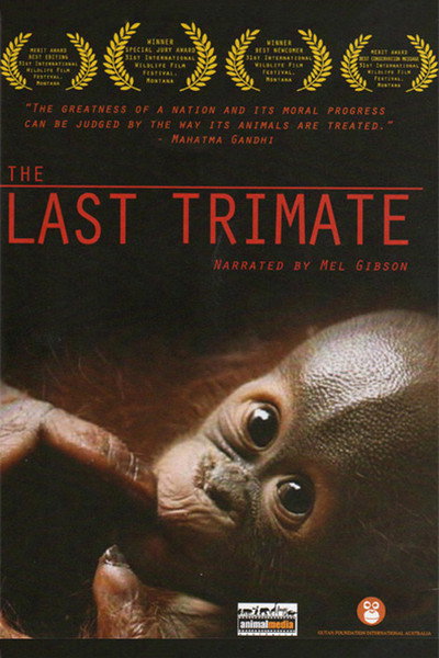 Póster de The Last Trimate