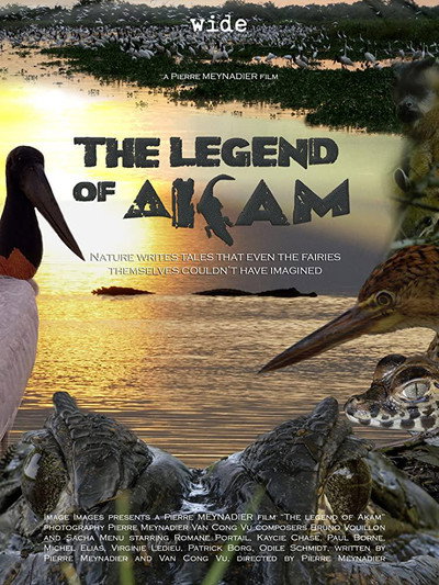 Póster de The Legend of Akam