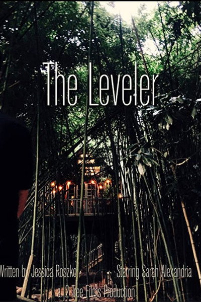 Póster de The Leveler