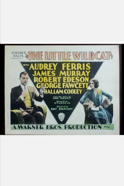 Póster de The Little Wildcat