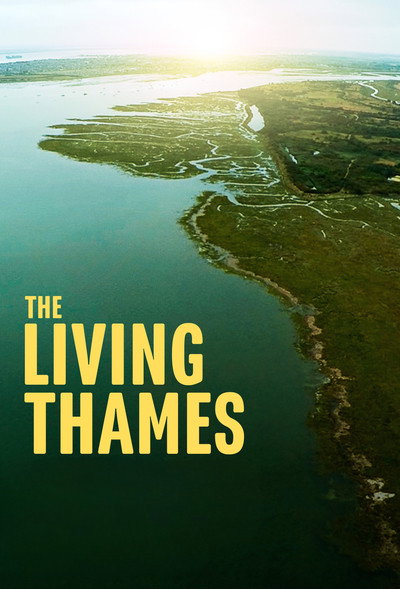 Póster de The Living Thames