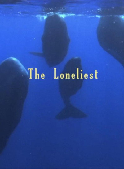 Póster de The Loneliest