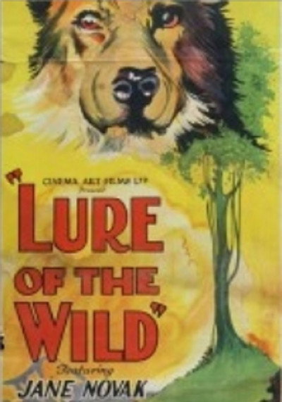 Póster de The Lure of the Wild