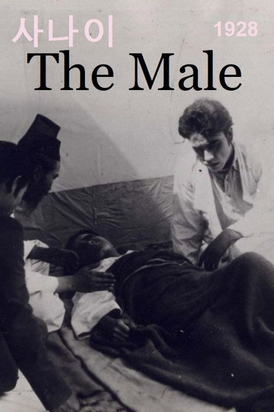 Póster de The Male