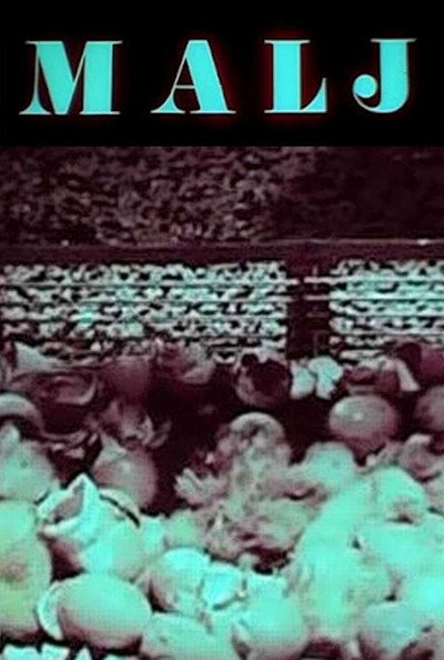 Póster de The Mallet