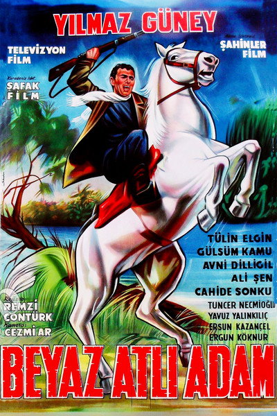 Póster de The Man with White Horse
