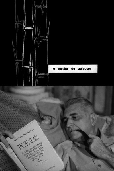 Póster de The Master of Apipucos