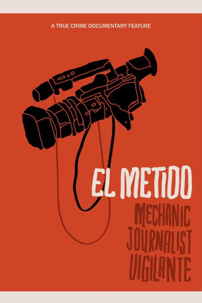 Póster de The Meddler