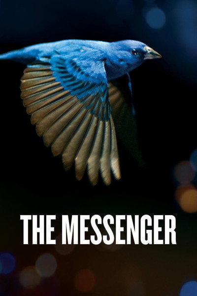 Póster de The Messenger