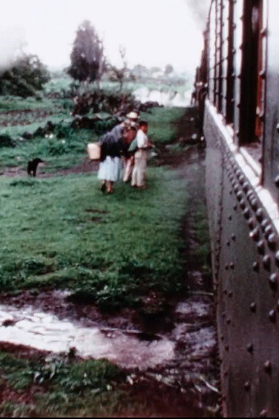 Póster de The Mexican Footage