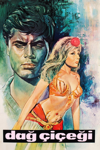 Póster de The Mountain Flower