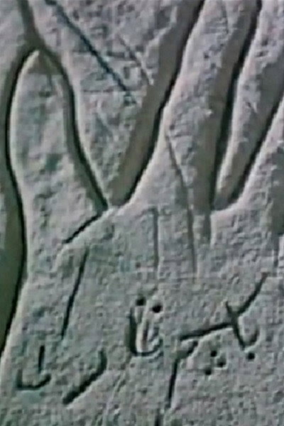 Póster de The Mystery of Open Palm