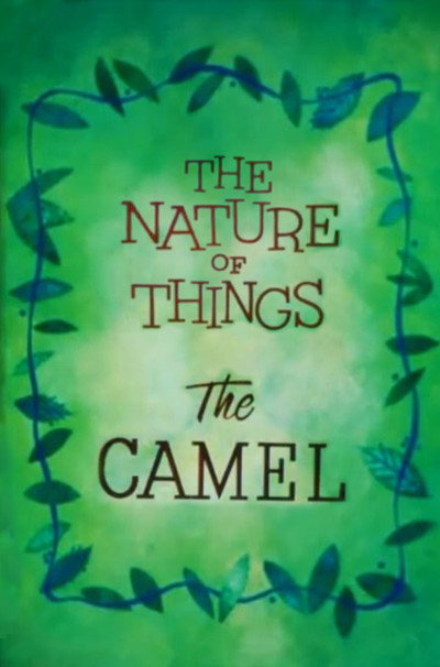 Póster de The Nature of Things: The Camel