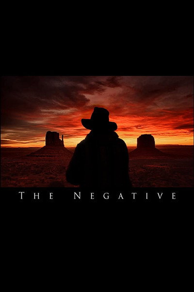 Póster de The Negative