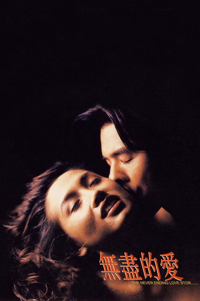 Póster de The Never Ending Love Story