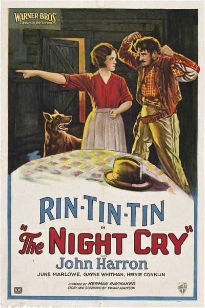 Póster de The Night Cry