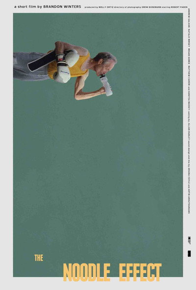 Póster de The Noodle Effect