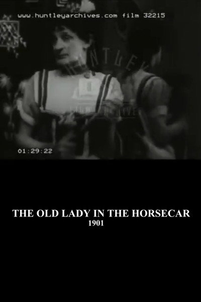 Póster de The Old Maid in the Horsecar