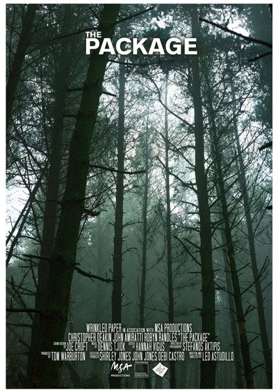 Póster de The Package