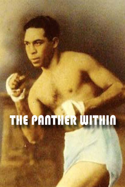 Póster de The Panther Within