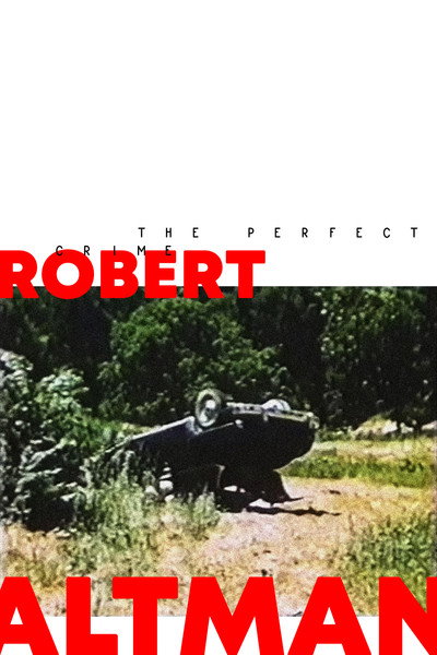 Póster de The Perfect Crime