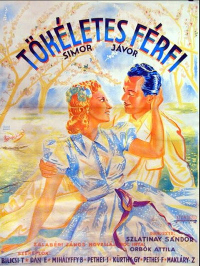 Póster de The Perfect Man