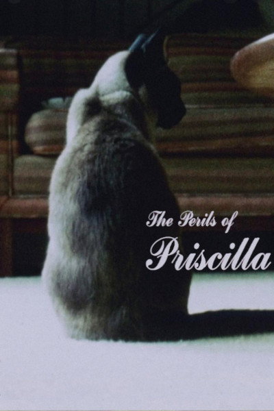 Póster de The Perils of Priscilla