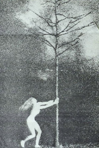 Póster de The Phallic Forest