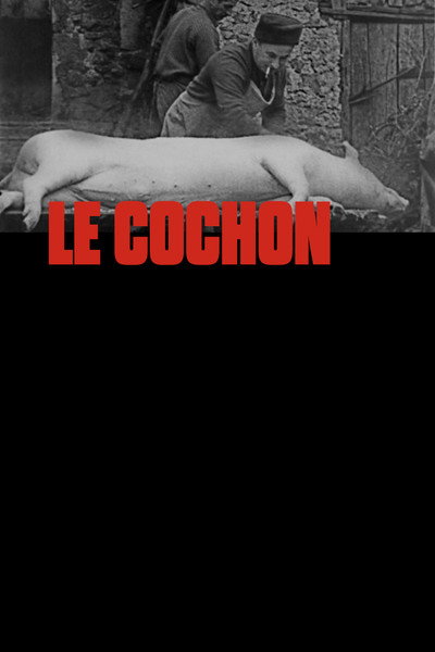 Póster de The Pig