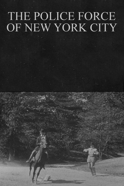 Póster de The Police Force of New York City