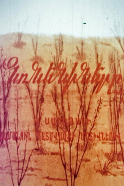 Póster de The Pomegranate Trees