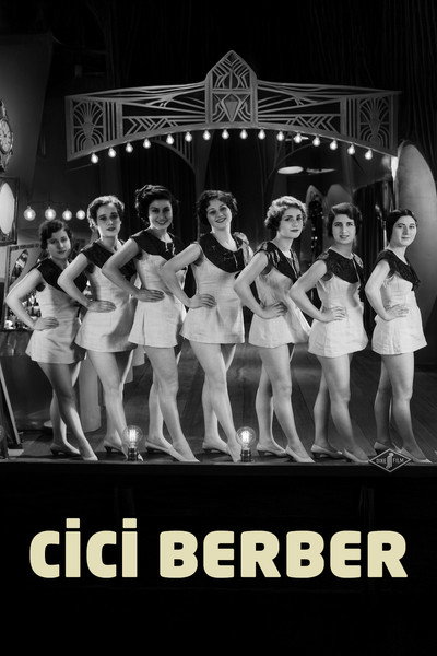 Póster de The Pretty Barber