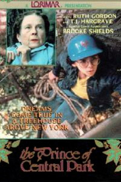 Póster de The Prince of Central Park