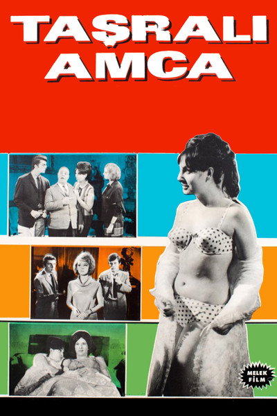Póster de The Provincial Uncle