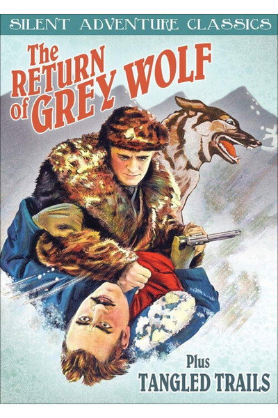 Póster de The Return of Grey Wolf