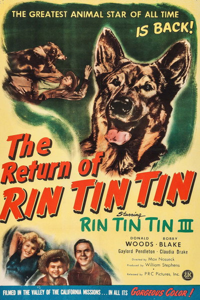 Póster de The Return of Rin Tin Tin
