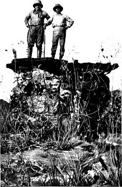 Póster de The River of Doubt
