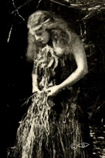 Póster de The Royal Slave
