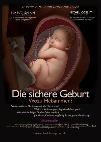 Póster de The safe Birth