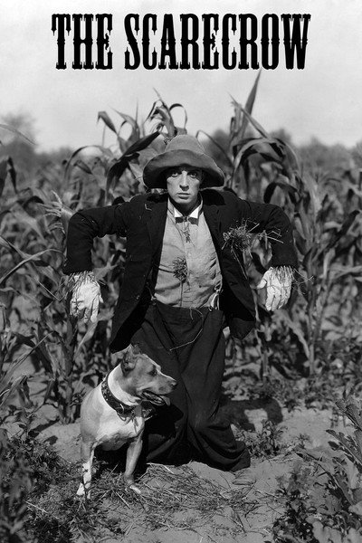 Póster de The Scarecrow