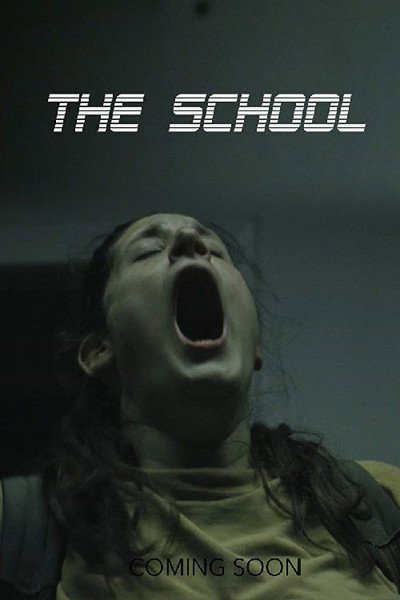 Póster de The School