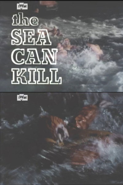 Póster de The Sea Can Kill